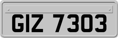 GIZ7303