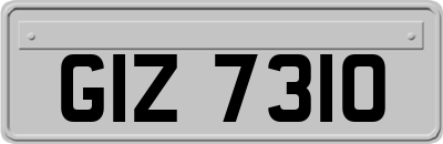 GIZ7310