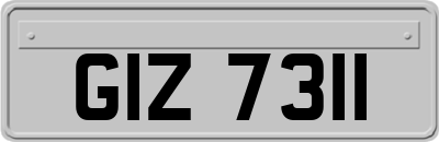 GIZ7311
