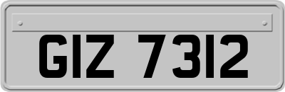 GIZ7312