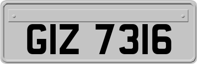 GIZ7316