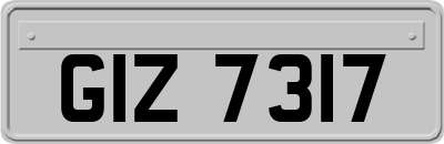 GIZ7317