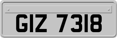 GIZ7318