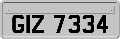 GIZ7334