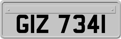 GIZ7341