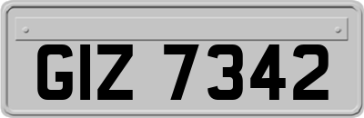 GIZ7342