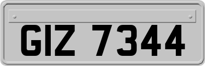 GIZ7344