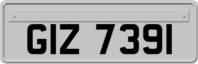 GIZ7391