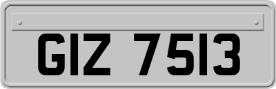 GIZ7513