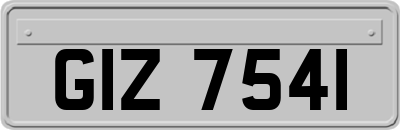 GIZ7541