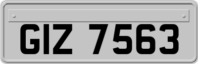 GIZ7563