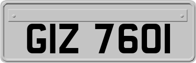 GIZ7601