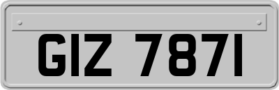 GIZ7871