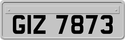 GIZ7873