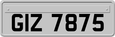 GIZ7875