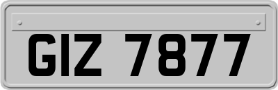 GIZ7877