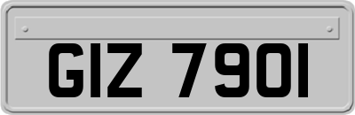 GIZ7901