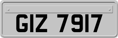 GIZ7917