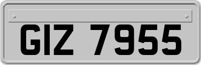 GIZ7955