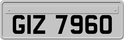 GIZ7960