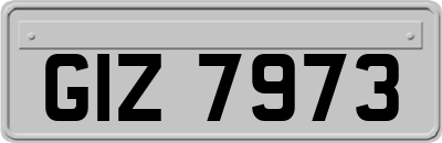 GIZ7973