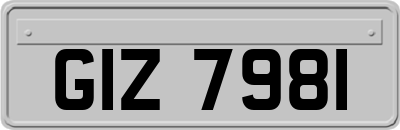 GIZ7981