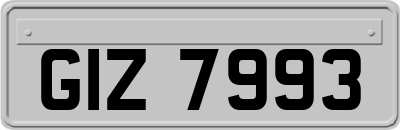 GIZ7993