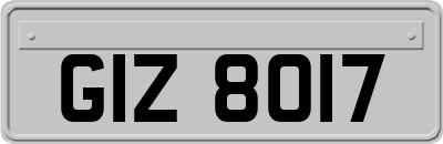 GIZ8017