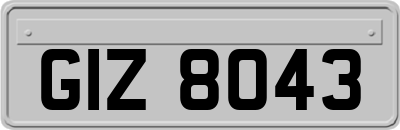 GIZ8043