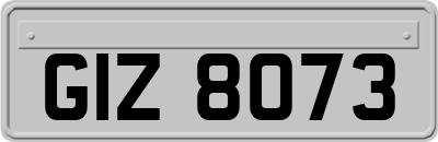 GIZ8073