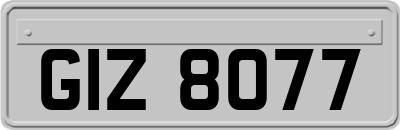 GIZ8077