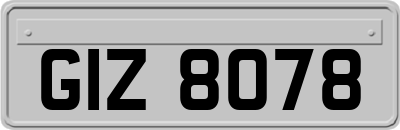 GIZ8078