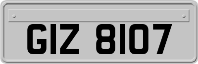 GIZ8107