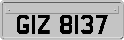GIZ8137