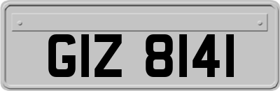 GIZ8141