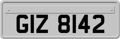 GIZ8142