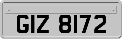 GIZ8172