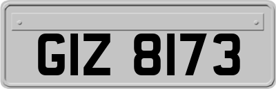 GIZ8173