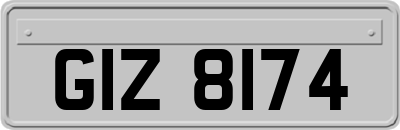GIZ8174