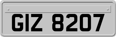 GIZ8207