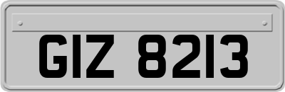 GIZ8213