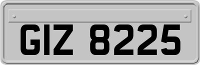 GIZ8225