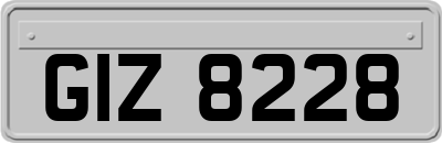 GIZ8228