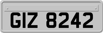 GIZ8242