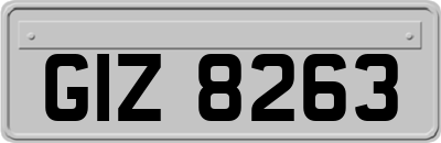 GIZ8263