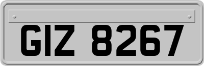 GIZ8267