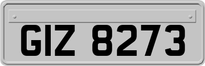 GIZ8273