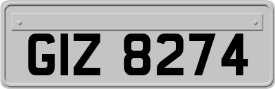 GIZ8274