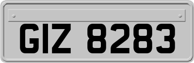 GIZ8283