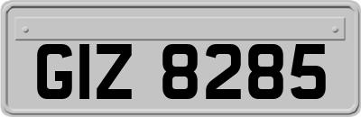 GIZ8285